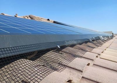 Solar Panel Cleaning Service