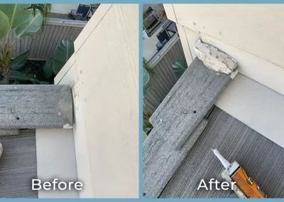 Solar Panel Cleaning Service